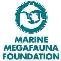 Marine Megafauna Foundation