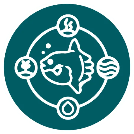 圆形图标中一条线描鱼位于中心，环绕着代表海水、海藻、温泉和水滴的四个小图标，意指Nusa Lembongan的海洋生态与水资源。