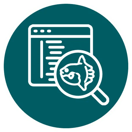 白底绿圆标志，显示带代码行的浏览器窗口图标前放大镜内有鱼图案，图中含文字“Nusa Lembongan”用于标识。