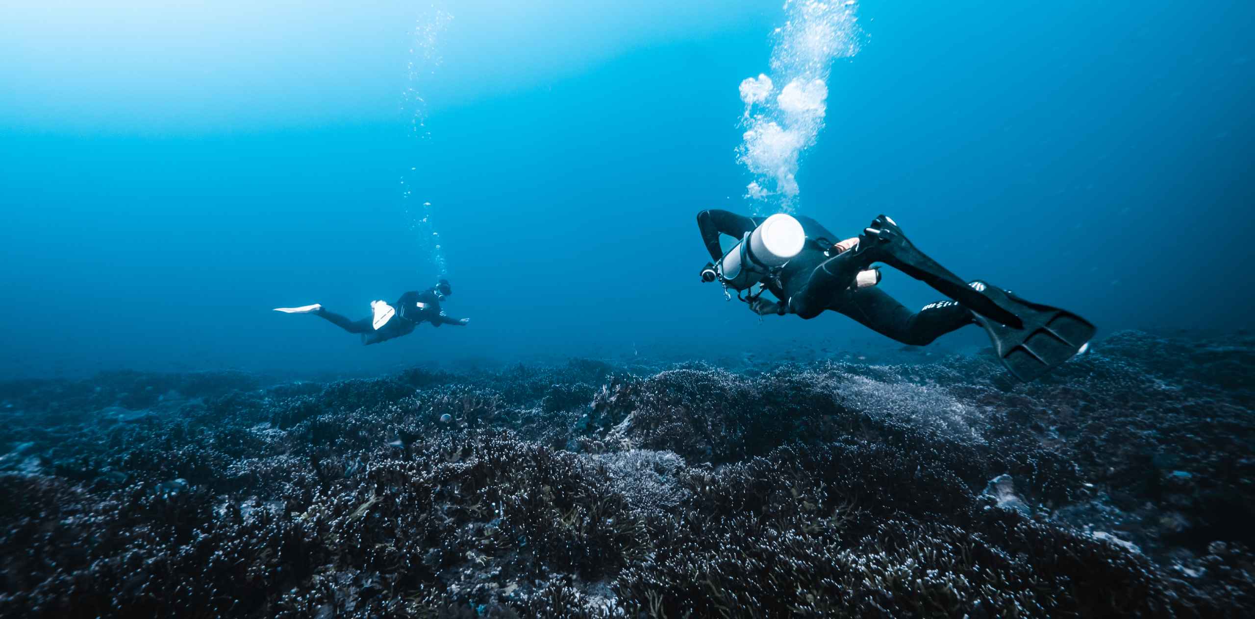 两名潜水员在Nusa Lembongan海域近海珊瑚礁上空潜行，一人携氧气瓶正在向前拍打蛙足冒出气泡。