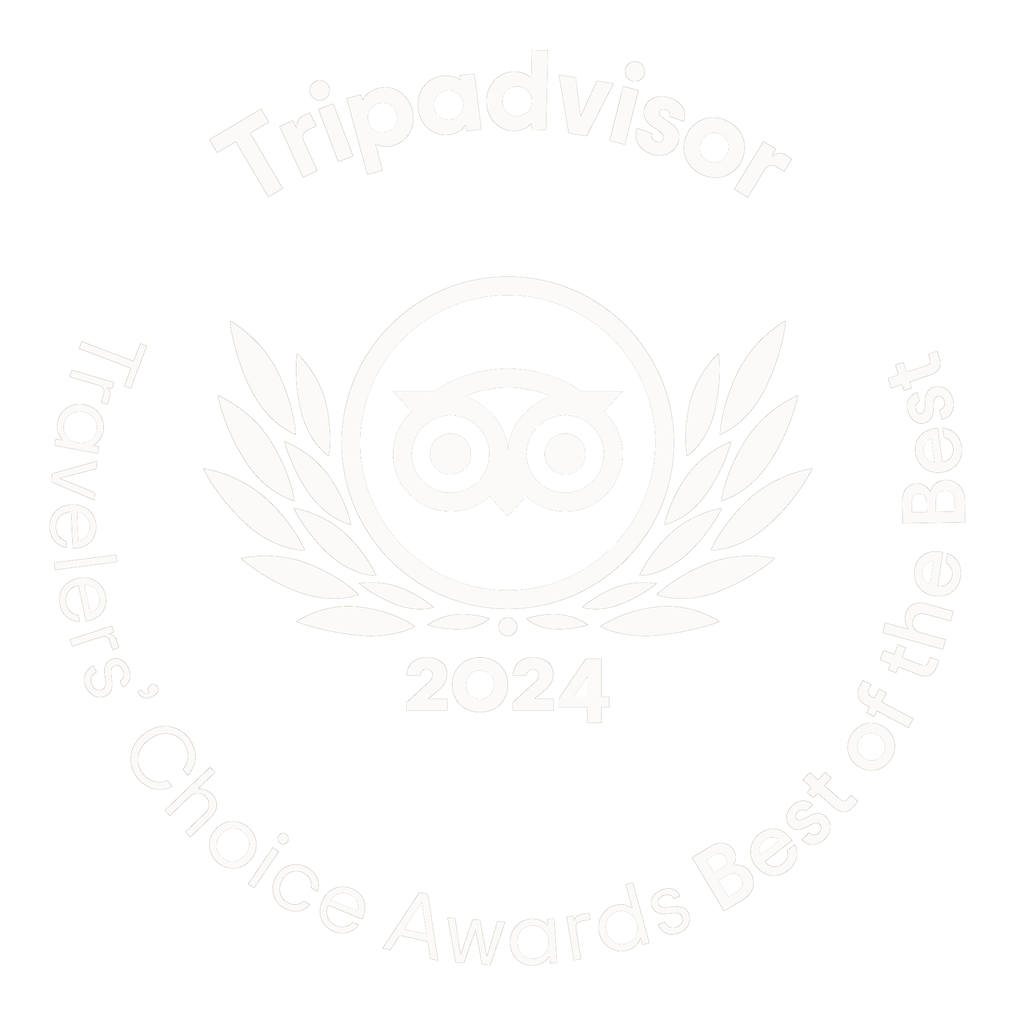 TA-award-2024